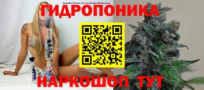 кокс Нягань
