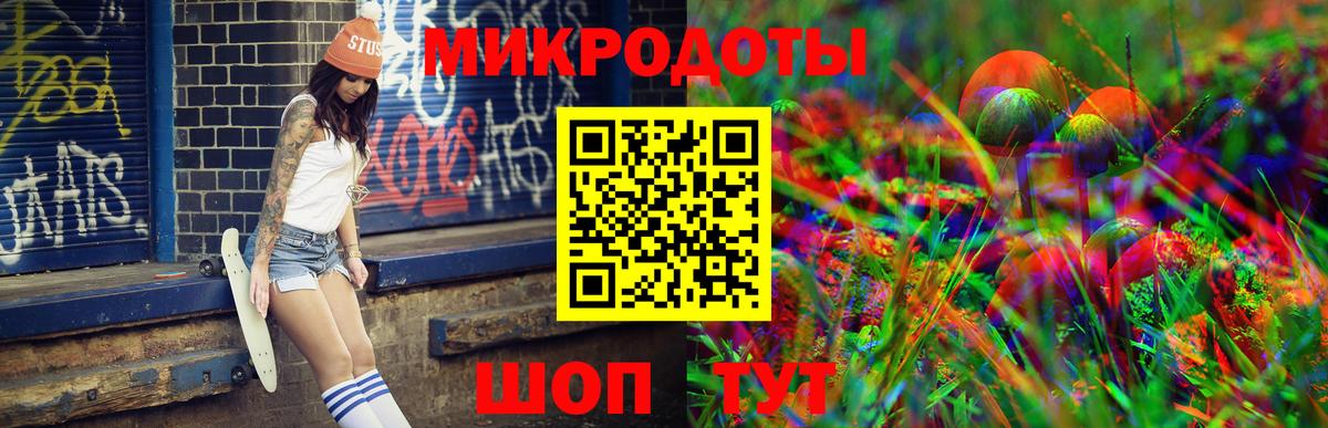 Галлюциногенные грибы Psilocybe Сыктывкар